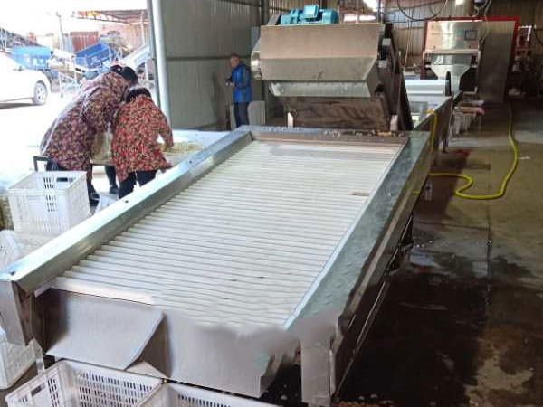 大蒜脫皮機(jī) 大蒜脫皮機(jī)