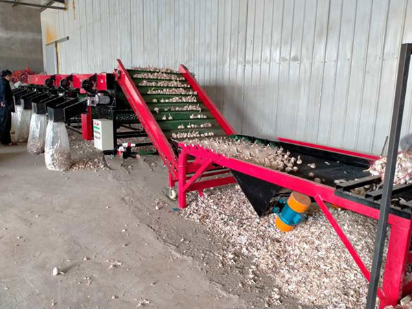 分選機(jī)生產(chǎn)