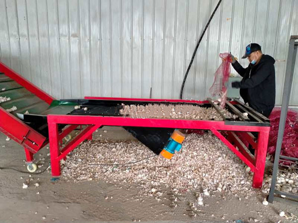 水果分選機(jī)