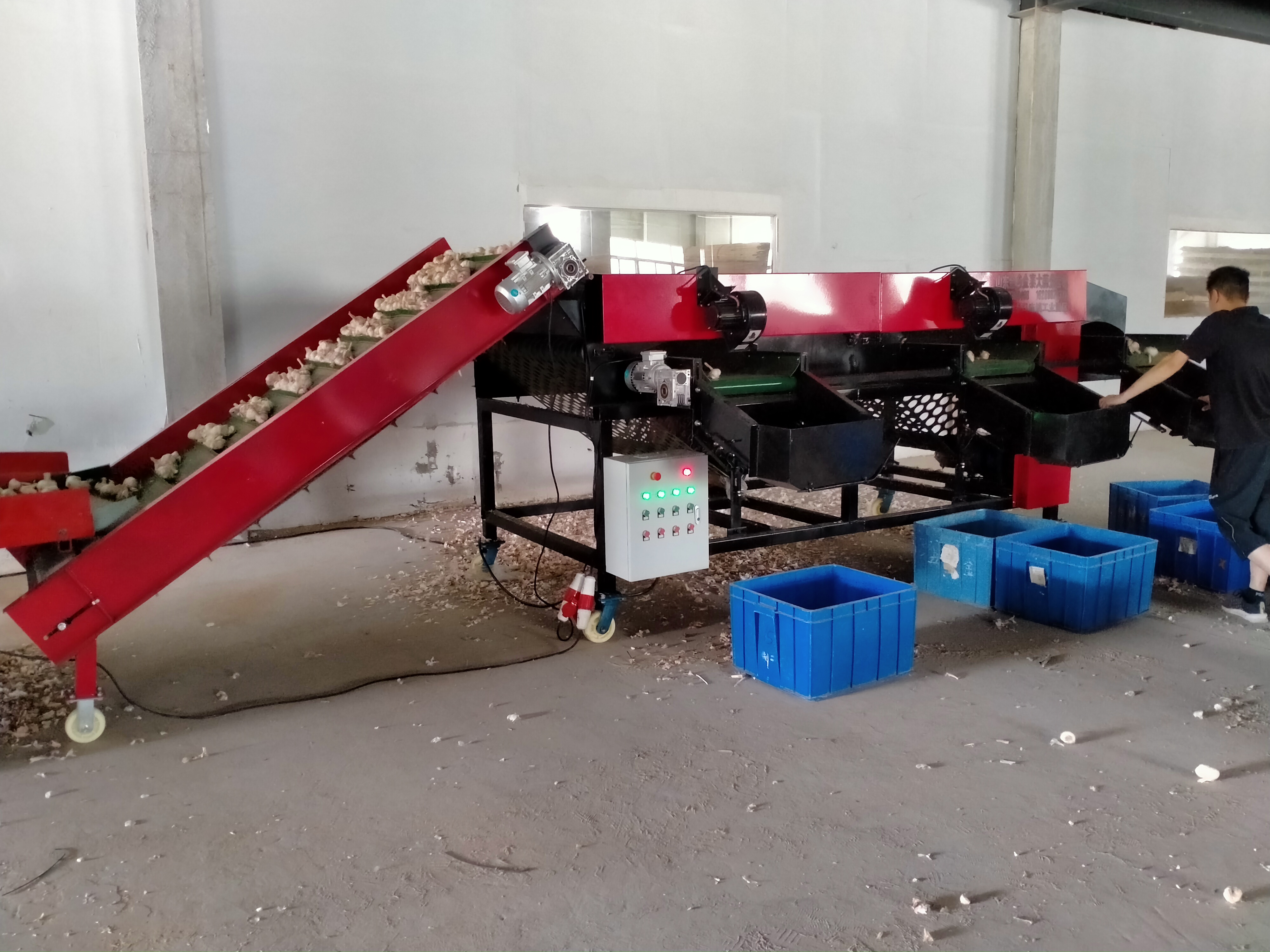 大蒜分選機(jī)銷售